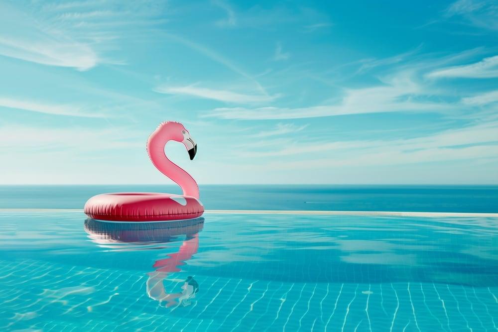 Pink Flamingo in a swimming pool