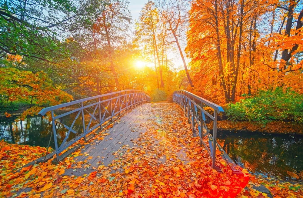 best walks in London