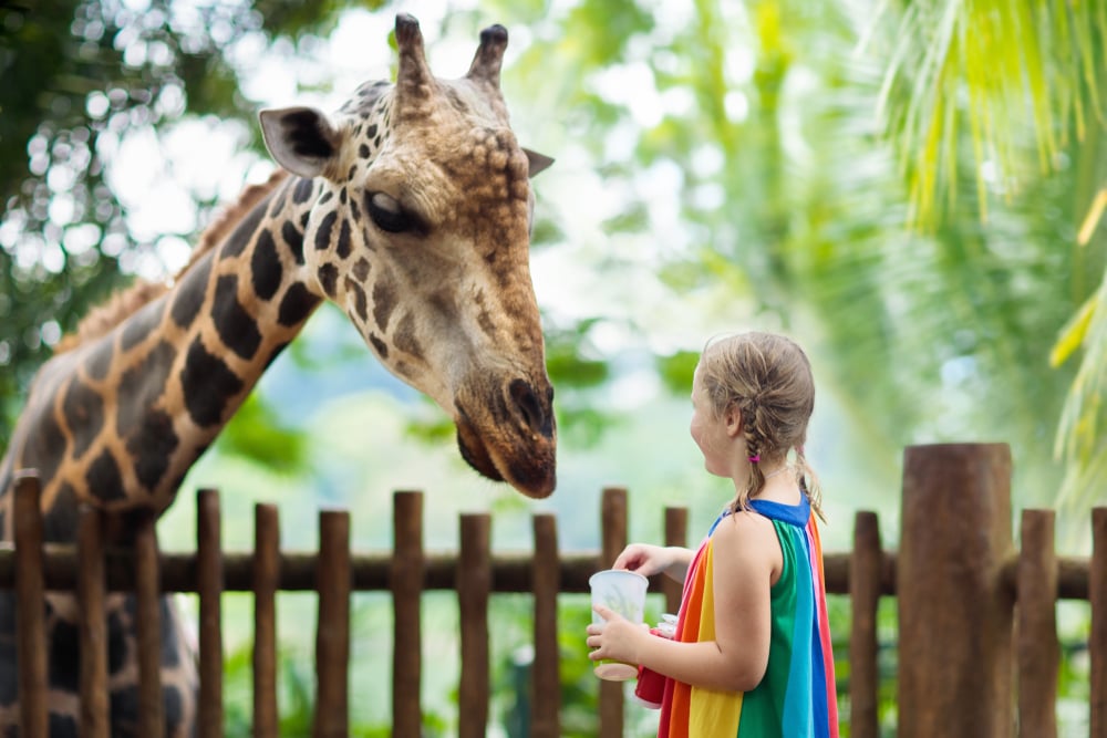 travel with kids in singapore