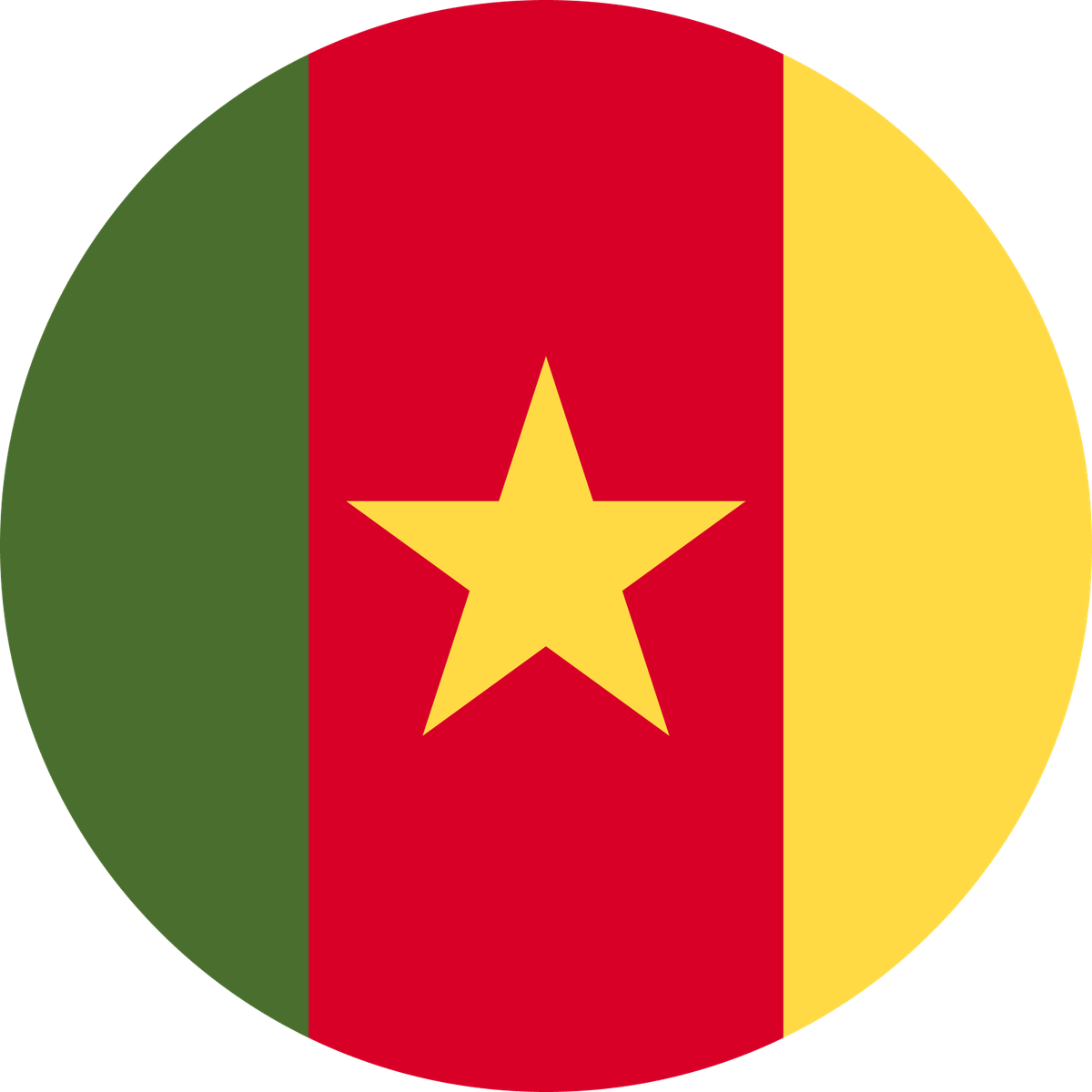Cameroon flag
