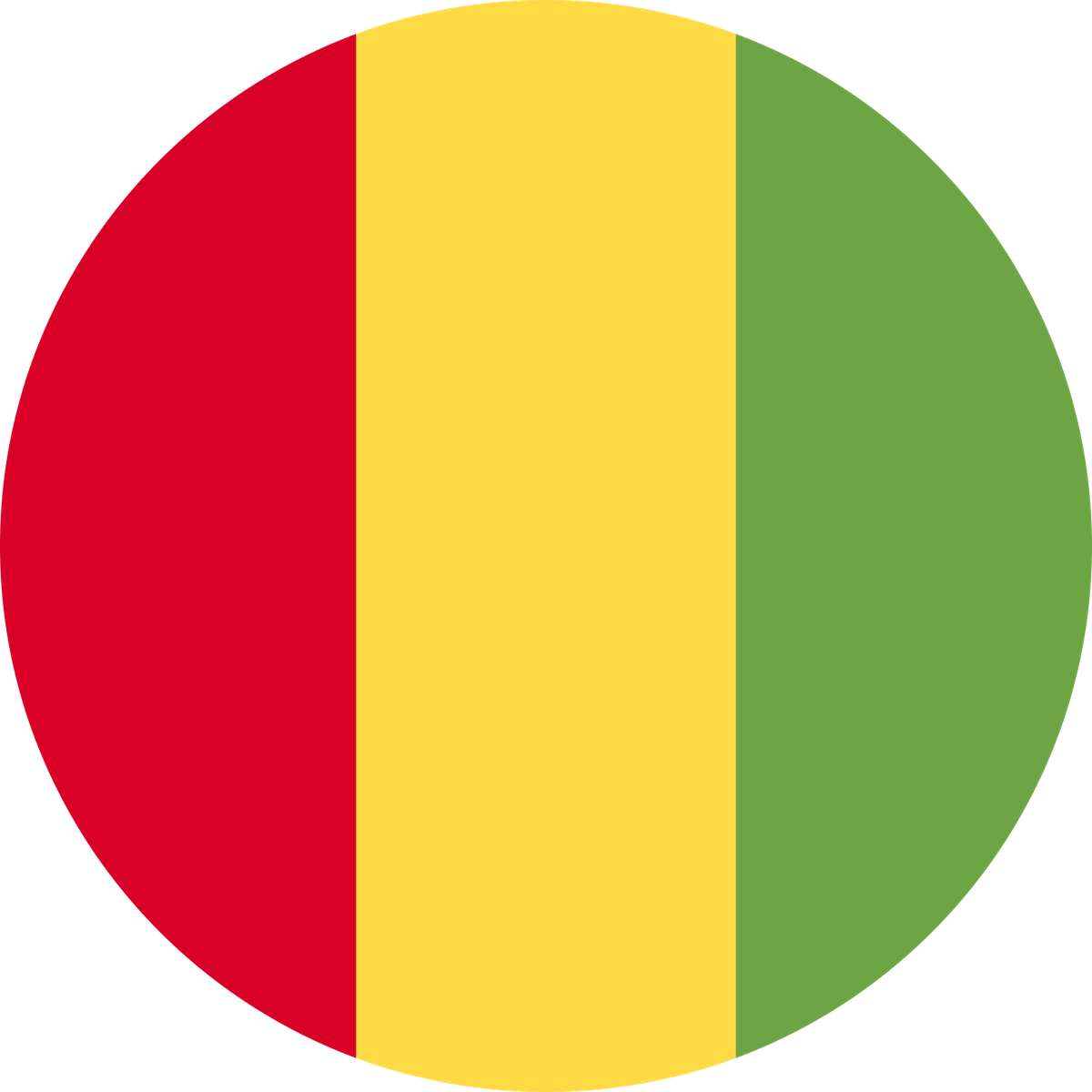 Guinea flag
