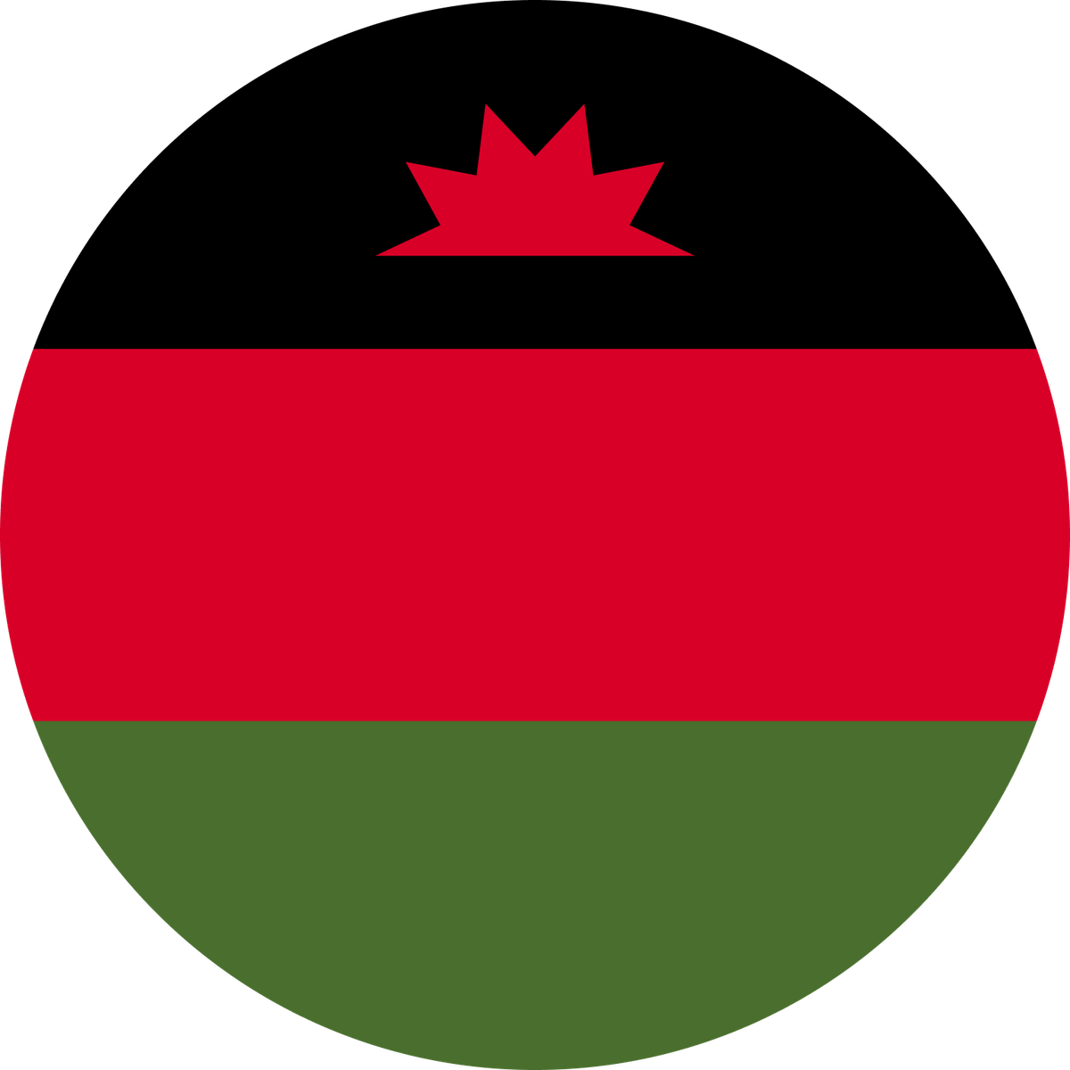 Malawi flag