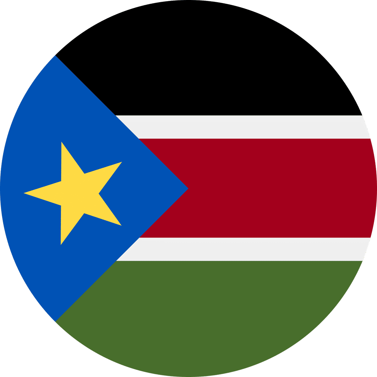 South Sudan flag