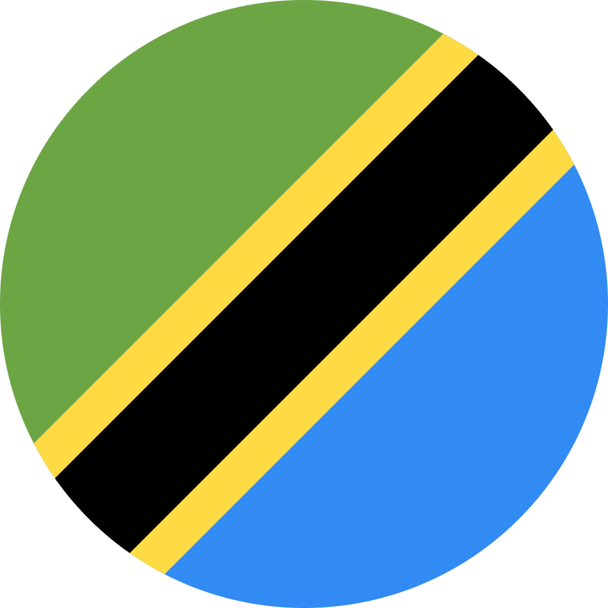 Tanzania flag