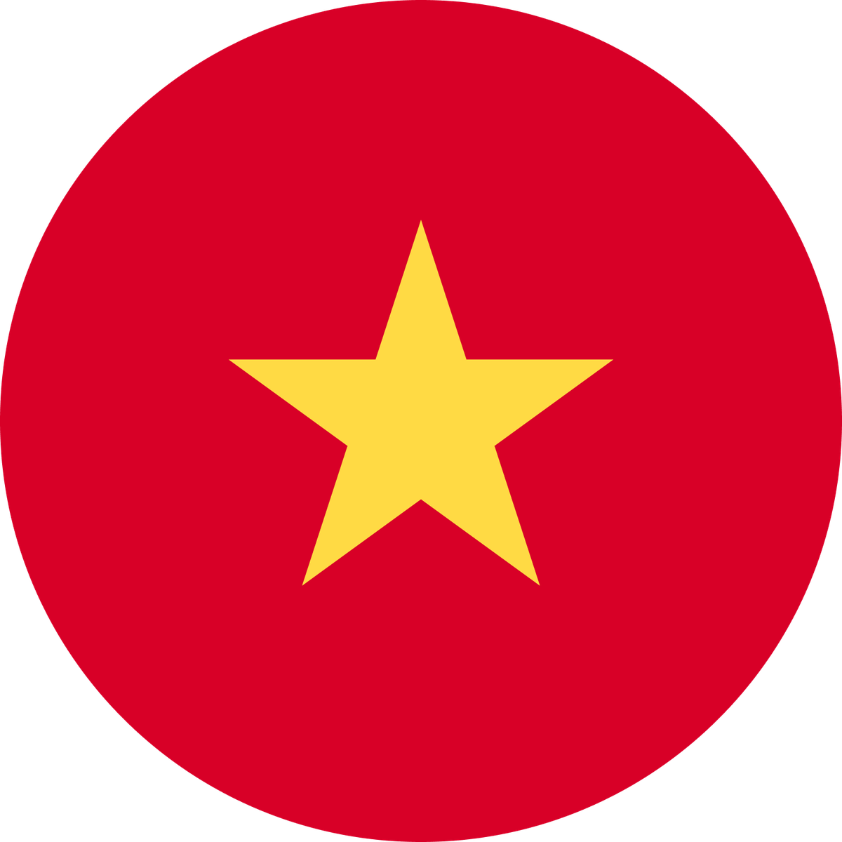 Vietnam flag